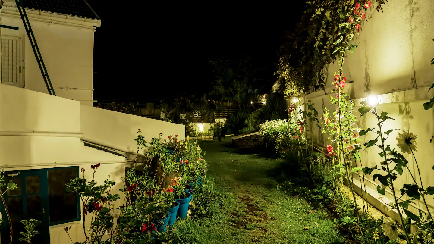 bf4a236c-7a7e-4a25-b081-db9f2fd5ee4e